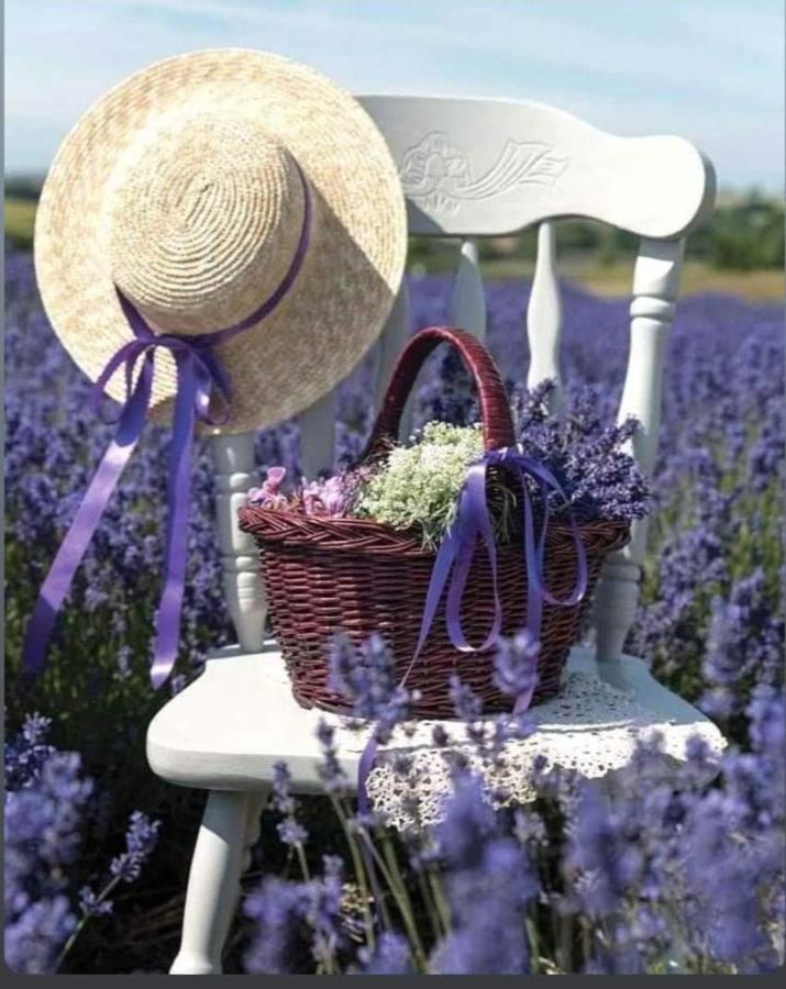 Vila Grange Voutee Avec Jardin Mane  Exteriér fotografie